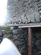 bellanamullia - 1113.JPG